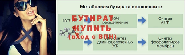 индика Володарск