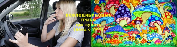 PSILOCYBIN Волоколамск